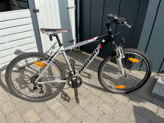 NISHIKI MTB fin anderkendt kvalitets drengecykel 