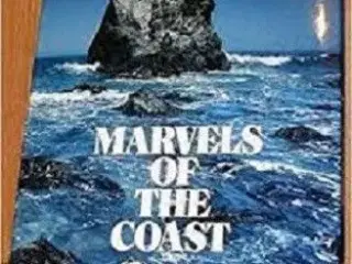 Marvels of the coast