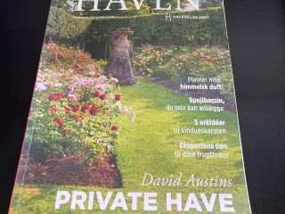 Haven have blad 2018