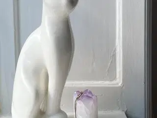 Fajancekat, hvid