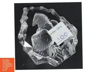 Glasfugl