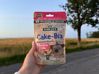 Hundegodbidder - fødselsdag