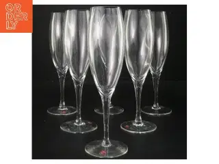 Champagneglas sæt (str. 6 stk 4,5 cm højde 22 cm)