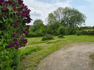 Hus til leje