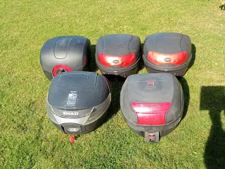 Bagage-boks  Frit valg.
