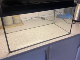 Akvarie 