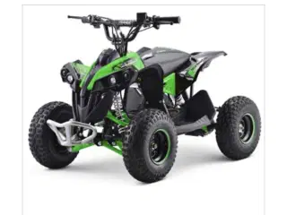 EL ATV Renegade Brushless 1200W 48V Kardan