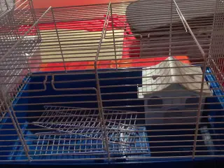 Hamsterbur med hus