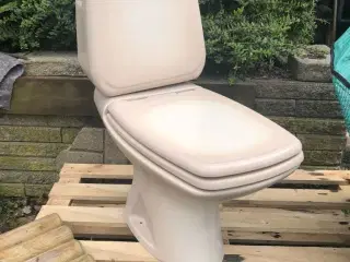 Sellert design toilet