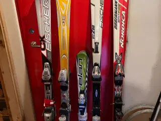 Ski carvin længde 130 - 160 cm