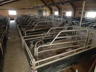 - - - Sdr Vissing Farestier 40 stk.