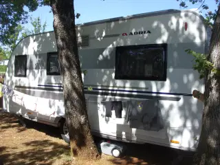Adria  Adora 50 års model