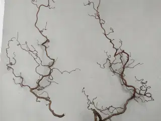 Troldegrene