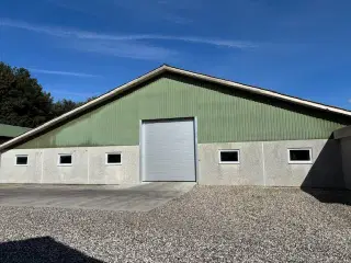 Hal til udlejning i Nordjylland