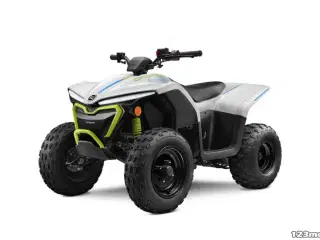 CFMOTO C-FORCE EV110