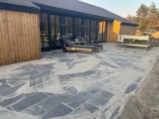  POOLHUS MARIELYST 18 PERSONER OG 3 HUNDE 