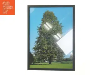 Billedramme med naturmotiv fra Posterland (str. 30x42 cm)