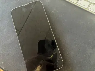 Defekt iPhone 13 pro max