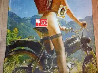 puch maxi. puch monza, puch vz50, puch flagskib, 