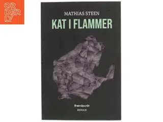 Kat i flammer : roman af Mathias Steen Hansen (f. 1992) (Bog)