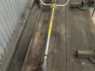 Buskrydder