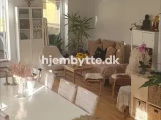 Hjembytte - Storgade