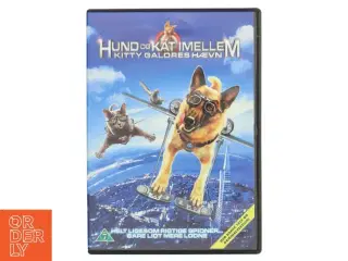 HUND OG KAT IMELLEM, KITTY