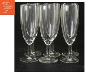 Champagneglas