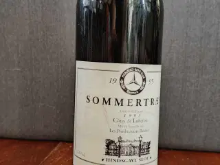 Mercedes sommertræf vin 1995