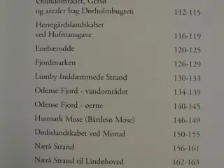 nordfyns natur en trængt natur i et smukt landskab