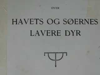 roms album over havets og søernes lavere dyr
