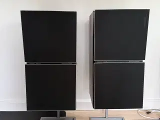 Beovox S80.2
