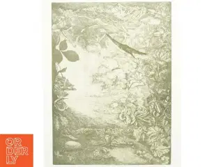 Stregtegning/plakat af naturmotiv (str. 41 x 59 cm)
