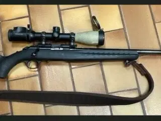 Ruger 22 WMR (mag.)