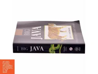 Big Java af Cay Horstmann (1959-) (Bog)