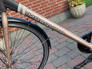 Cykler