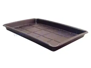 Bin oliebakke