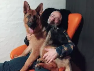 Schæfertæve 10 mrd. gl.