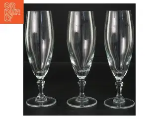 Sæt af 3 champagneglas (str. 18,5x6 cm)