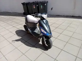 Pgo ligero 