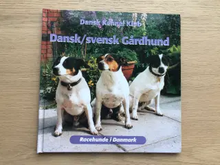 Dansk/svensk Gårdhund - Racehunde i Danmark