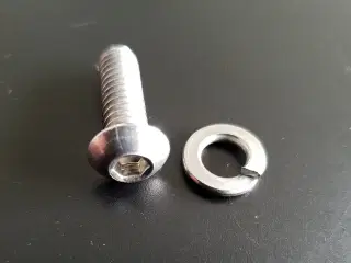 Bolt, 1/4-20 x 3/4" lang m. fjederskive