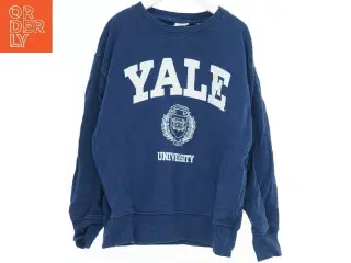 Yale University sweatshirt fra Zara (str. 140)