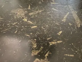 Stenbord med forsiller stort og tungt spisebord