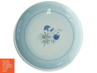 Porcelænsmiddagstallerkener, blå kornblomst, demeter fra Bing Og Grøndahl (str. Diameter, 24 cm)