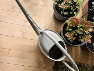 VANDKANDE, 10 l