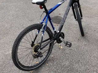 MTB  