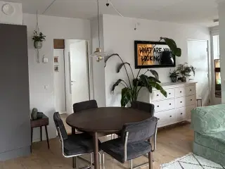 Moderne frisvingerstole søger nyt hjem