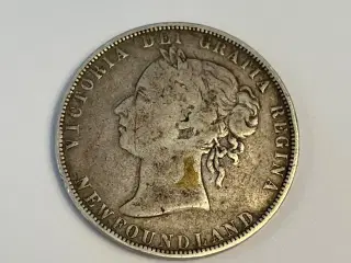 50 Cents Newfoundland 1899