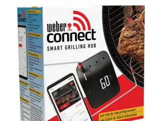 Weber WiFi termometer 